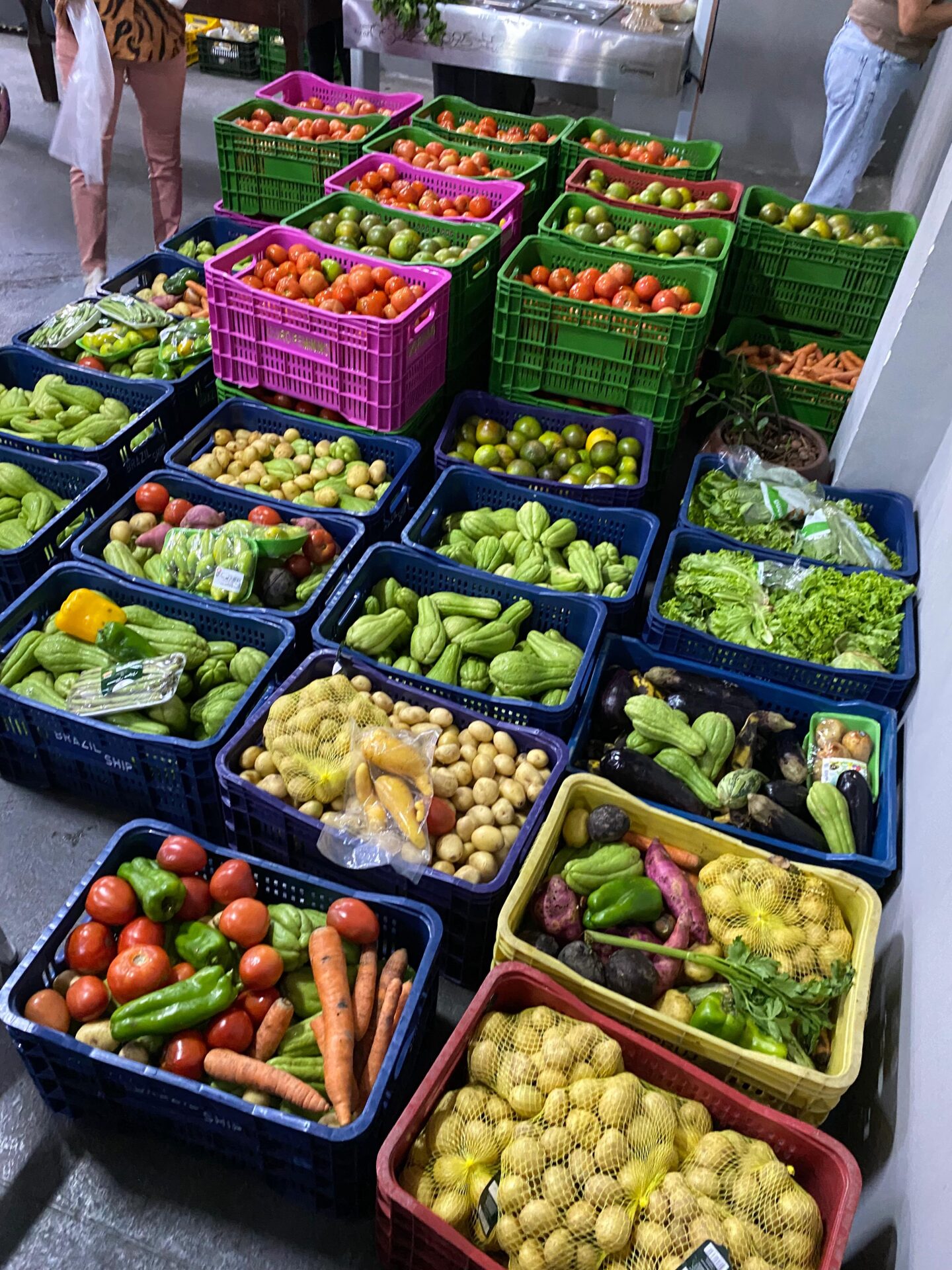 Mais que comida na mesa, é amor partilhado em cada Cesta Verde